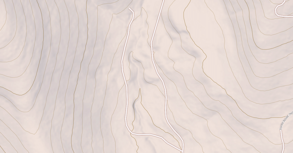 Map preview of USFS Motor Vehicle Use Map Roads {6BA2699C-5895-4274-A032-2EC78238D4B8}