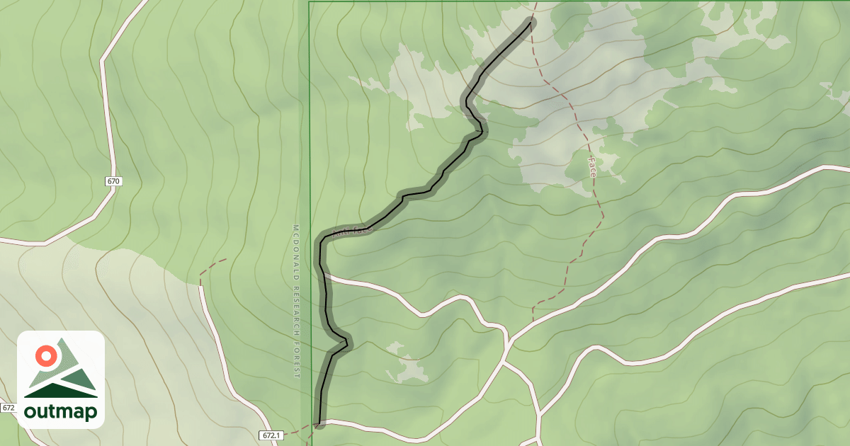 Map of Anti-face