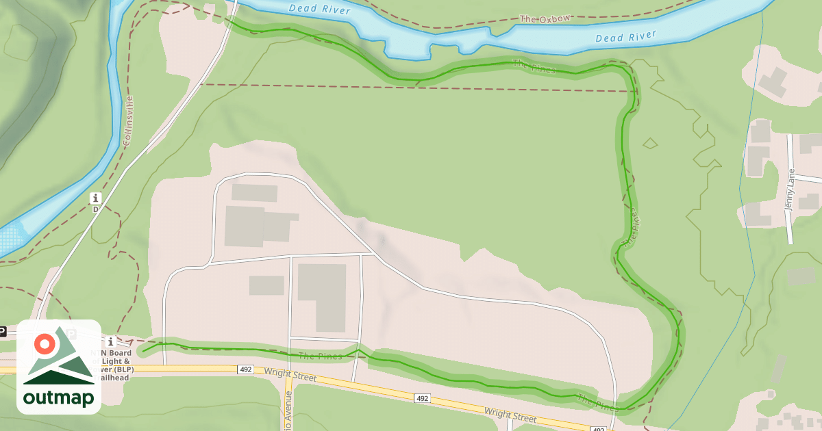 Map of The Pines
