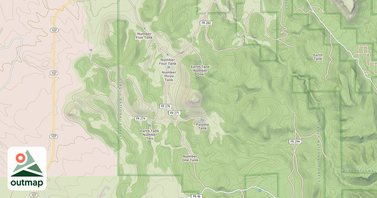 Map of USFS National Forest System Roads {E7FDC5EF-ACF0-4E4F-A06B-766FFE01E788}