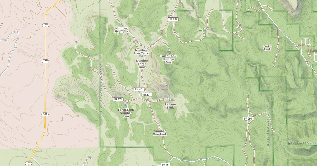 Map preview of USFS National Forest System Roads {E7FDC5EF-ACF0-4E4F-A06B-766FFE01E788}