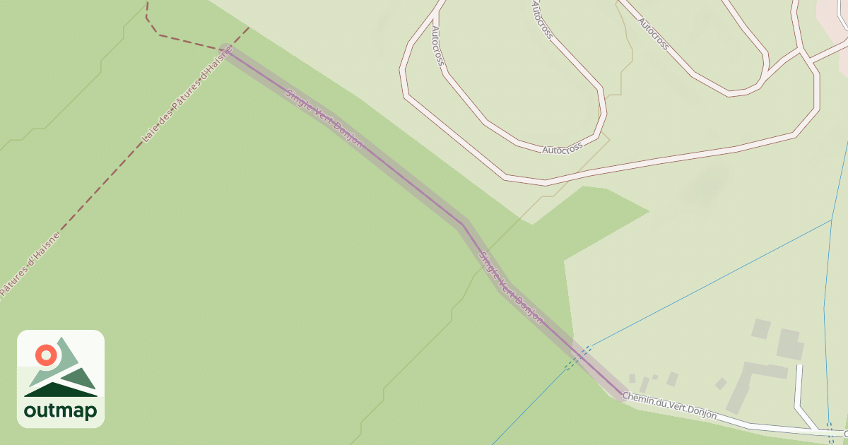 Map of Single Vert Donjon
