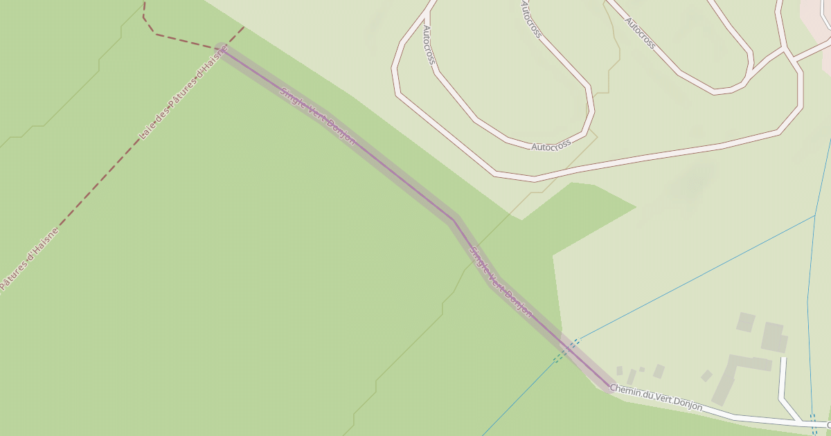 Map preview of Single Vert Donjon