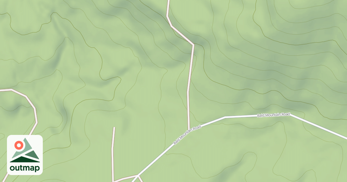 Map of Mutant Ferns