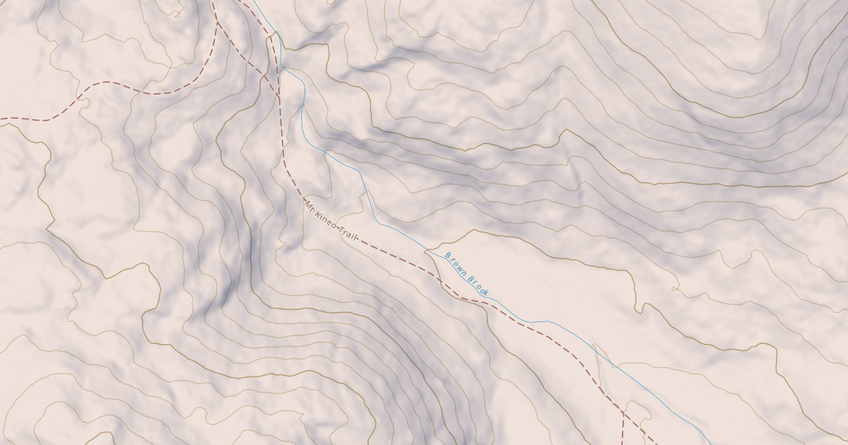 Map preview of Brown Brook Snomo
