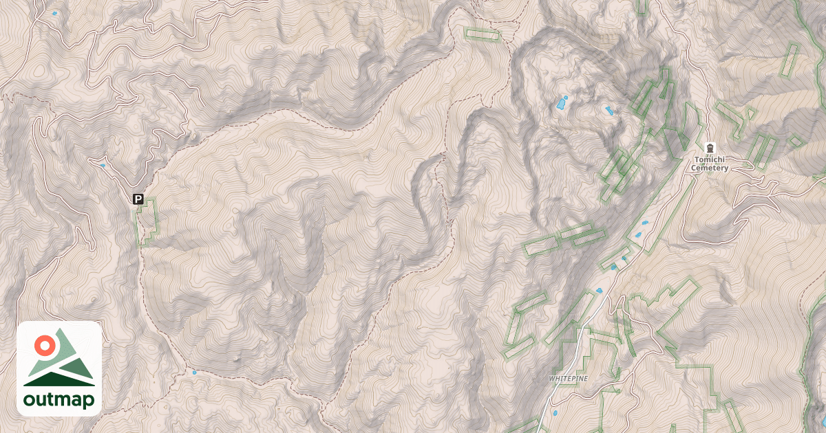 Map of USFS Motor Vehicle Use Map Trails 3446
