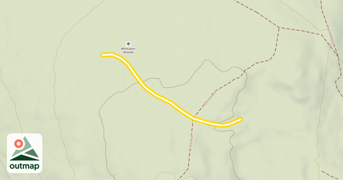 Map of Schuss
