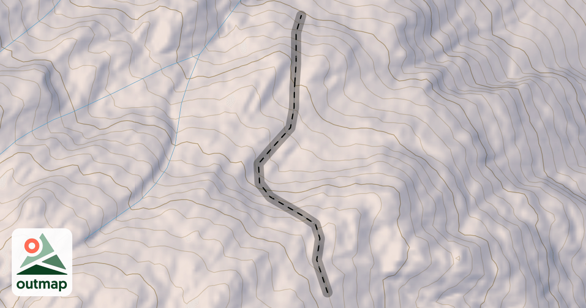 Map of This Is It