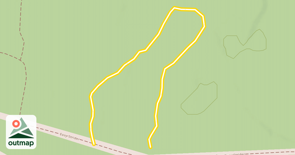 Map of Easy Strider