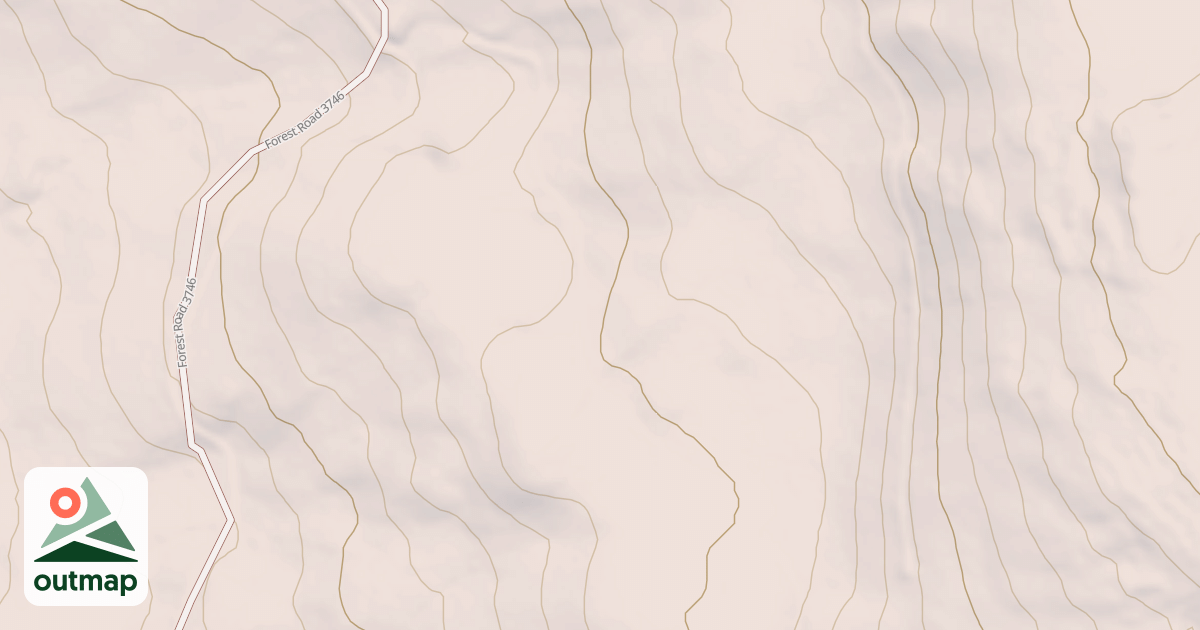 Map of USFS National Forest System Roads {1F5ED8A3-1603-4F41-88F5-0C2CD4B392A9}
