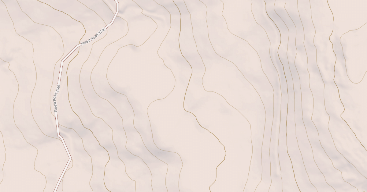 Map preview of USFS National Forest System Roads {1F5ED8A3-1603-4F41-88F5-0C2CD4B392A9}