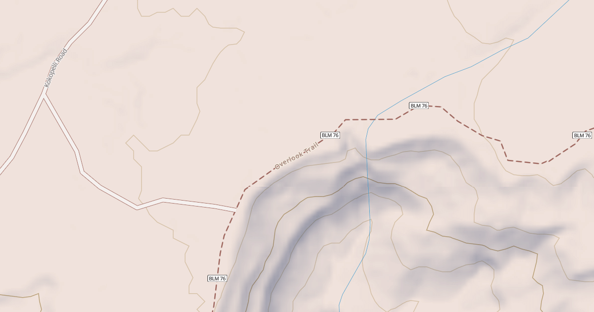 Map preview of BLM National GTLF Public Motorized Roads 06d14d25-edb2-4ddd-a27a-f7ffb28bc943