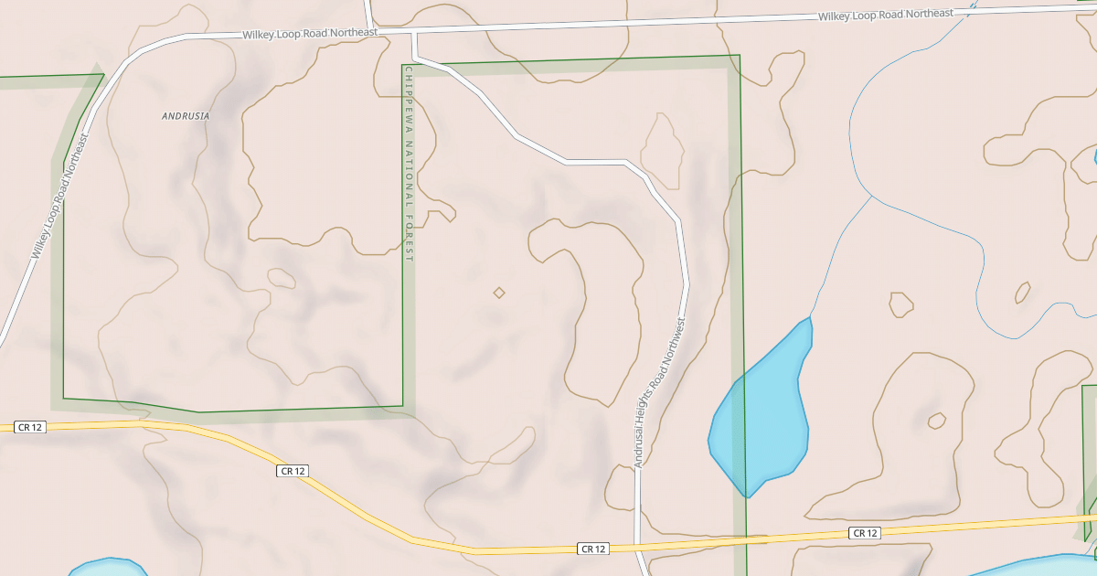 Map preview of WILKEY LOOP ROAD SPUR A