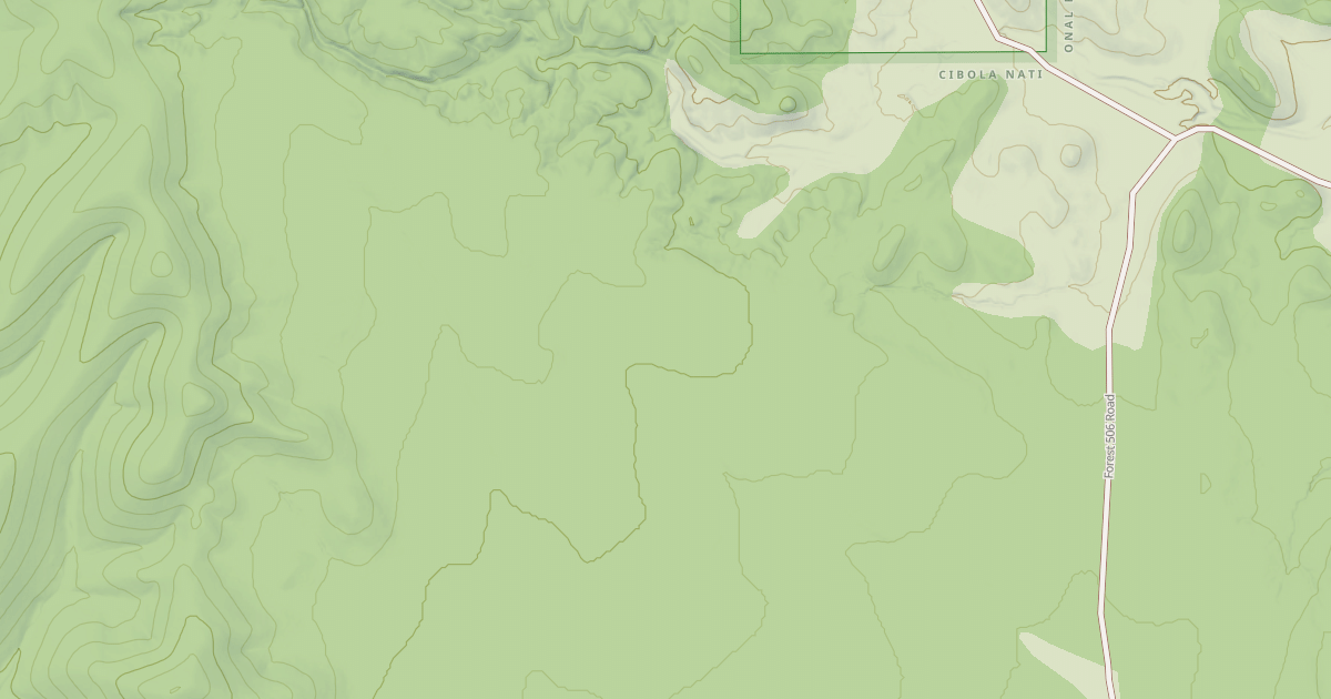 Map preview of USFS Motor Vehicle Use Map Roads {0E93072A-72DD-4BA0-AF05-550E895D1271}