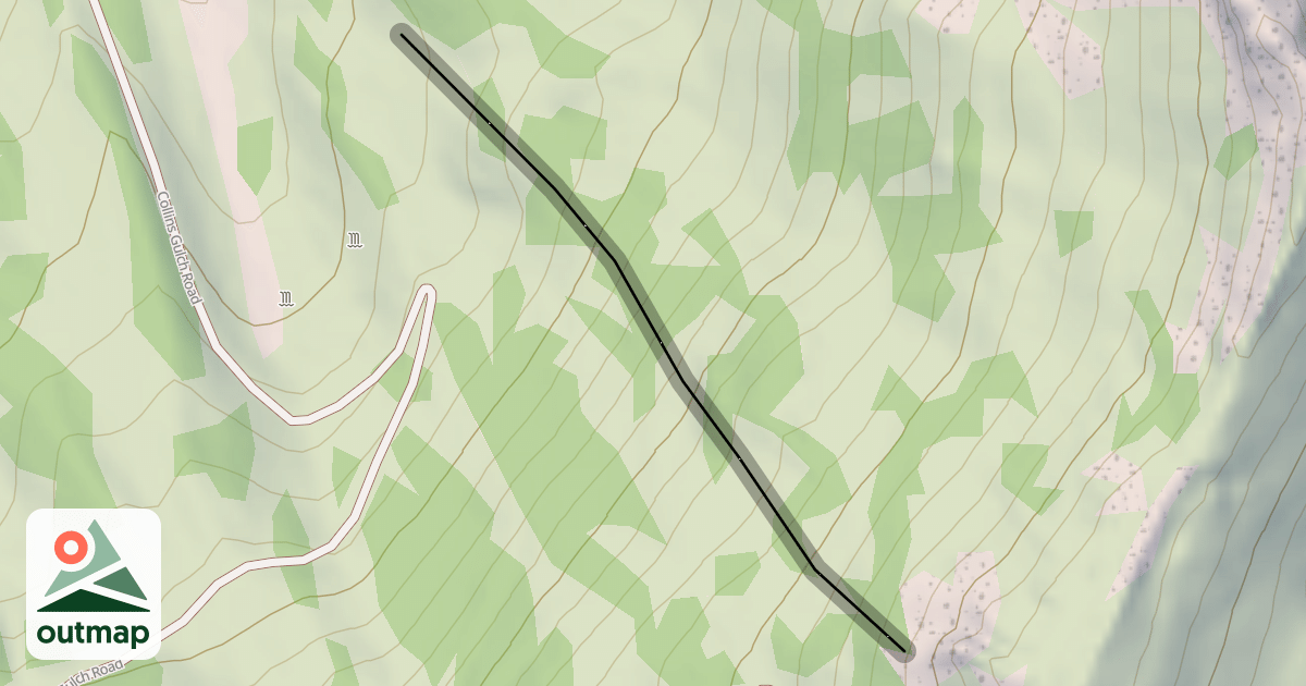 Map of Spruces
