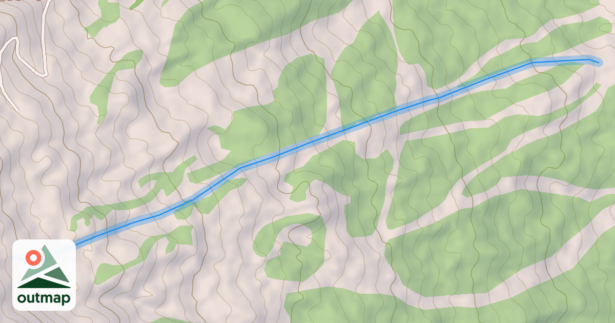 Map of Jet Stream