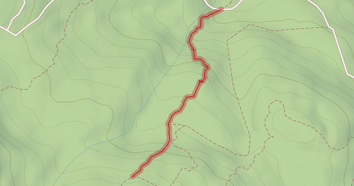 Map preview of Cupcake