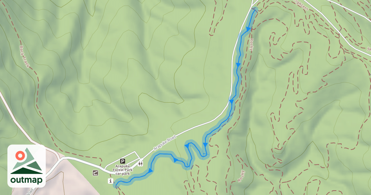 Map of Swamp Monster