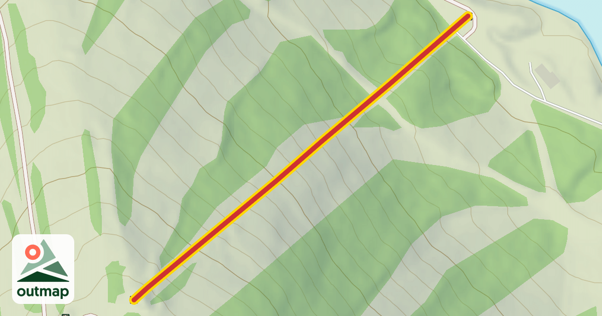 Map of Zoomer Triple