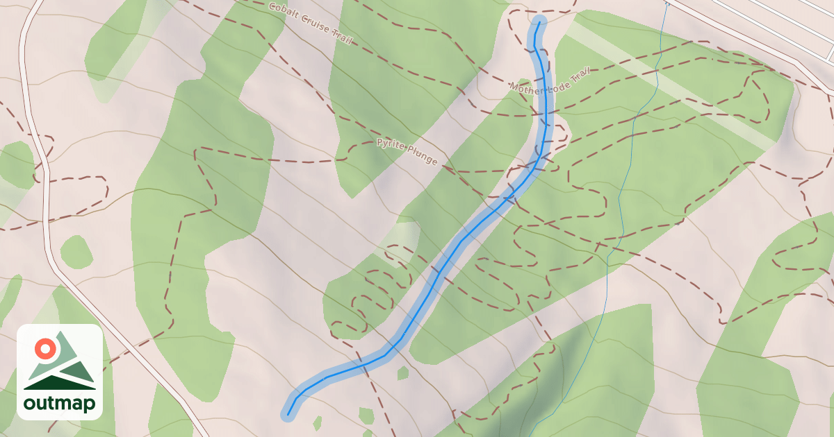 Map of Shady Lane