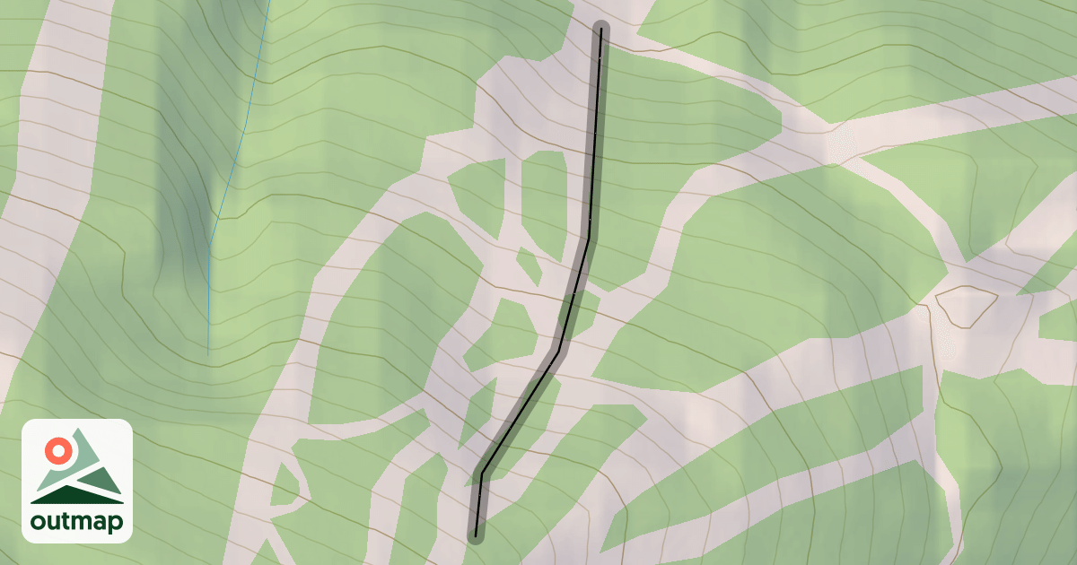 Map of Black Bear