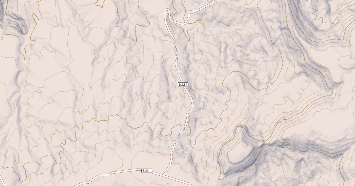 Map preview of BLM National GTLF Public Motorized Roads 3f462d8f-4181-4ff4-92e6-9f6a53702040
