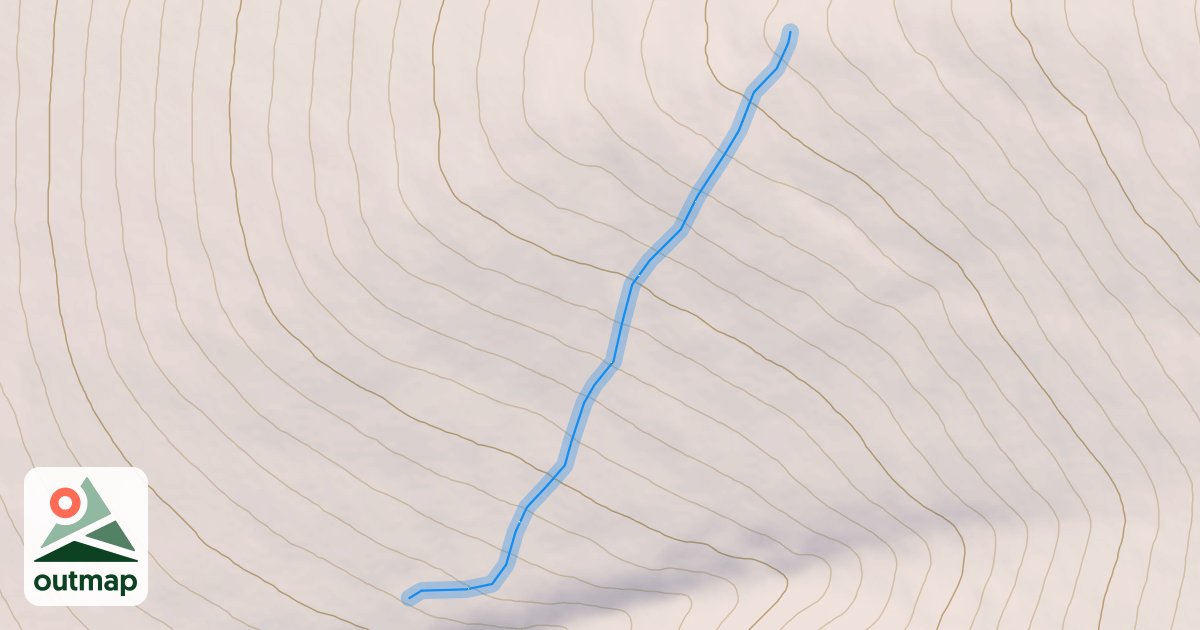 Map of Brother Bear