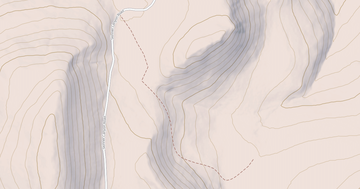 Map preview of SKINNER SPRING
