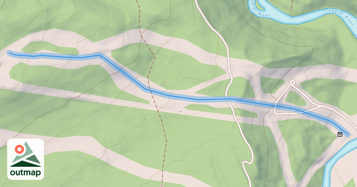 Map of White Birch