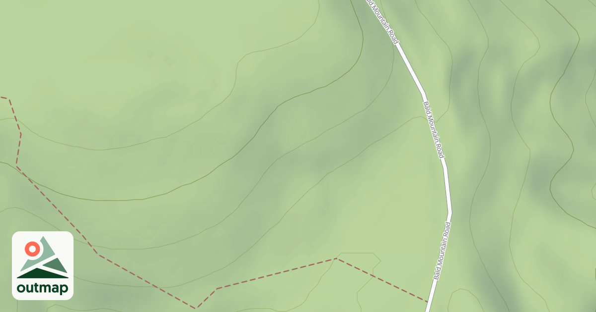 Map of Mutant Ferns