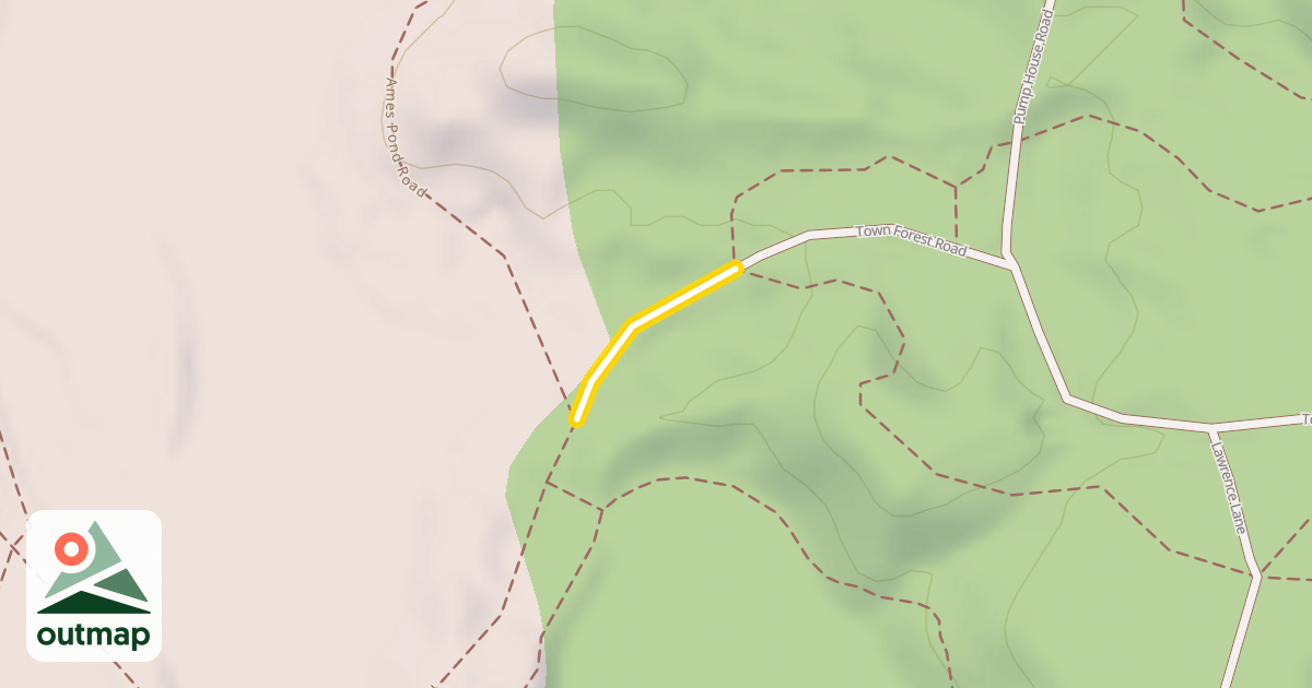 Map of Town Forest Road