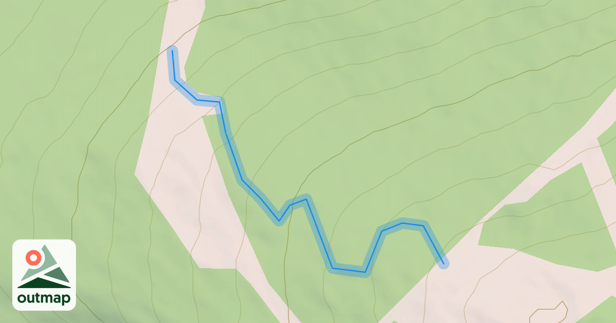Map of Snake