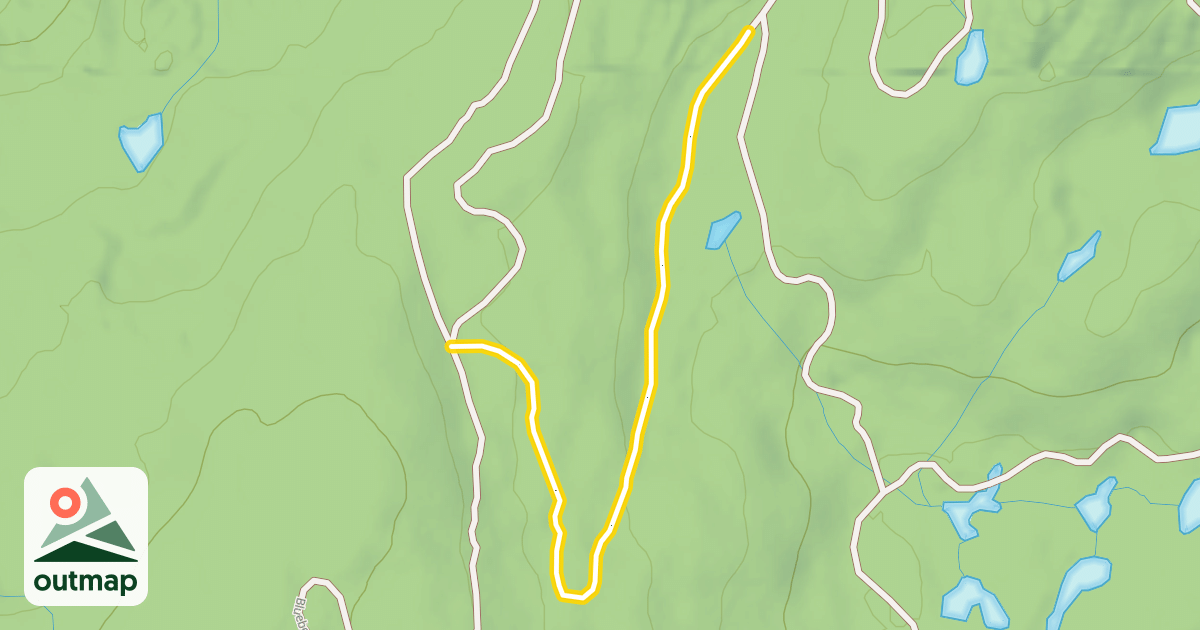 Map of Blueberry