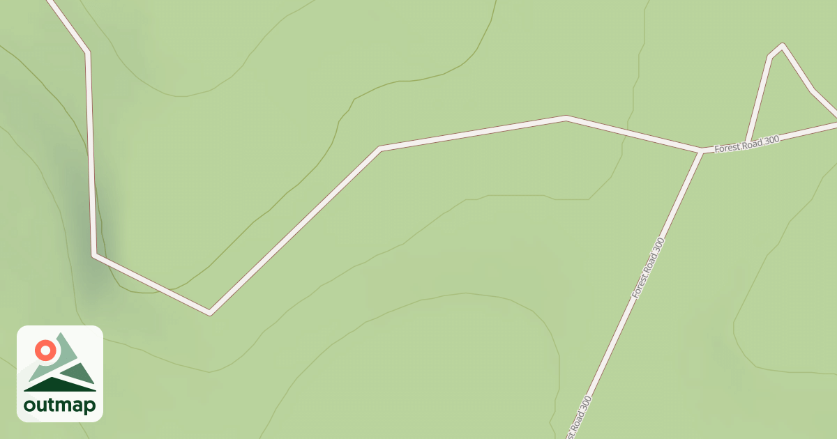 Map of USFS National Forest System Roads {AB3A2A06-05AF-4390-8AEF-394C7C7B5296}