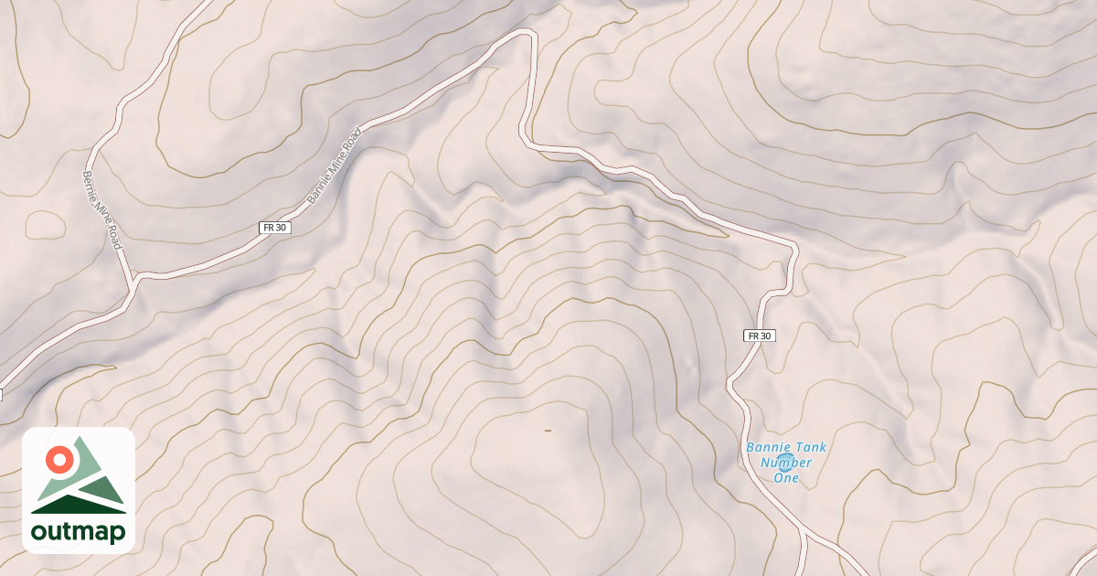 Map of BANNIE MINE