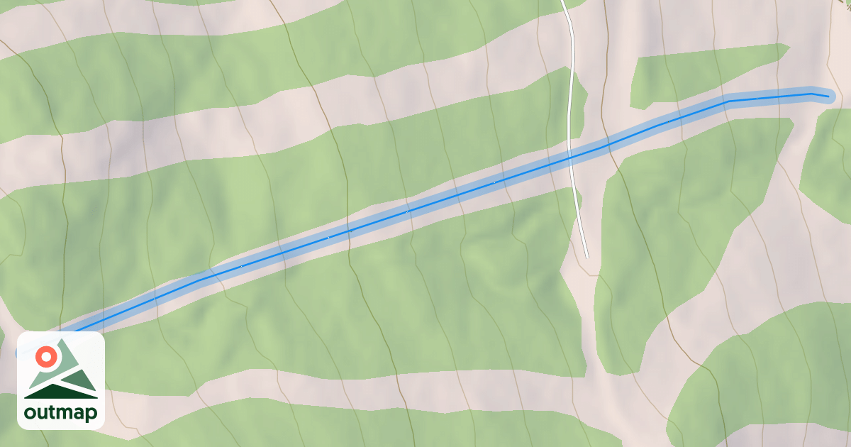 Map of Lower Timberline