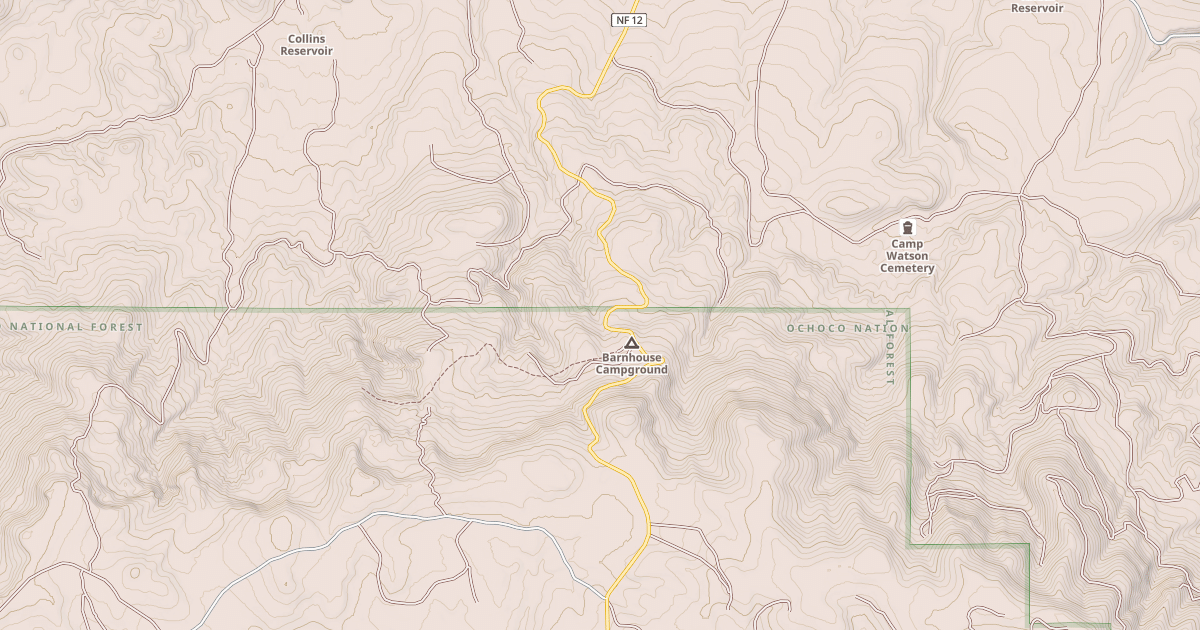 Map preview of USFS Motor Vehicle Use Map Roads {8F464771-0C0A-4B46-81F7-B31A04B567A7}