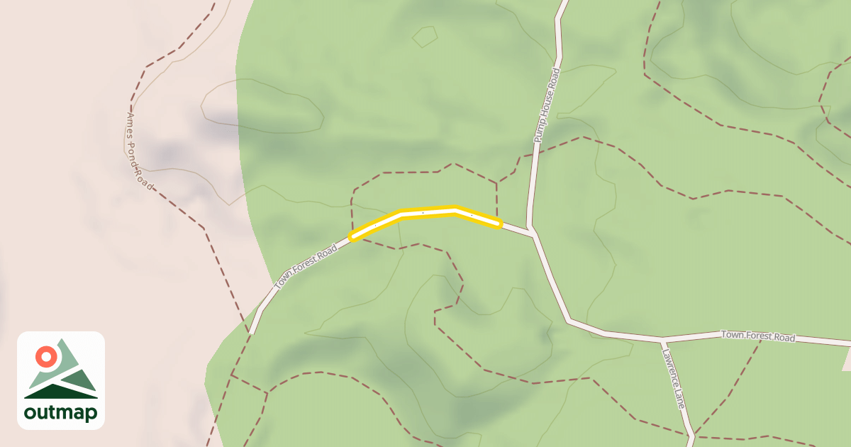 Map of Town Forest Road
