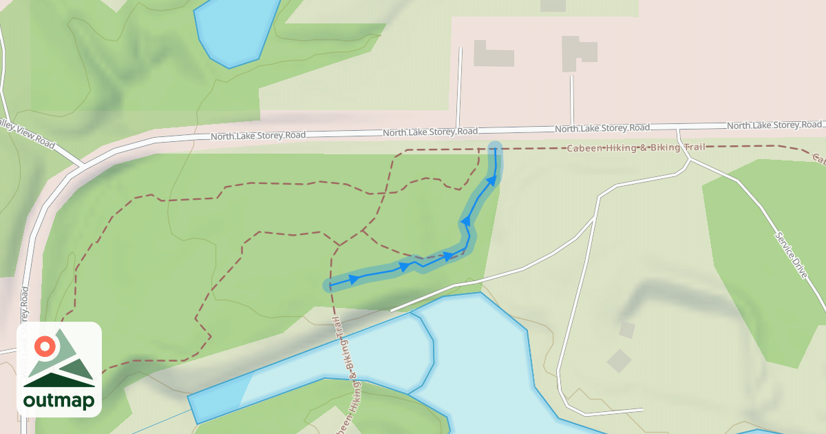 Map of Drop It