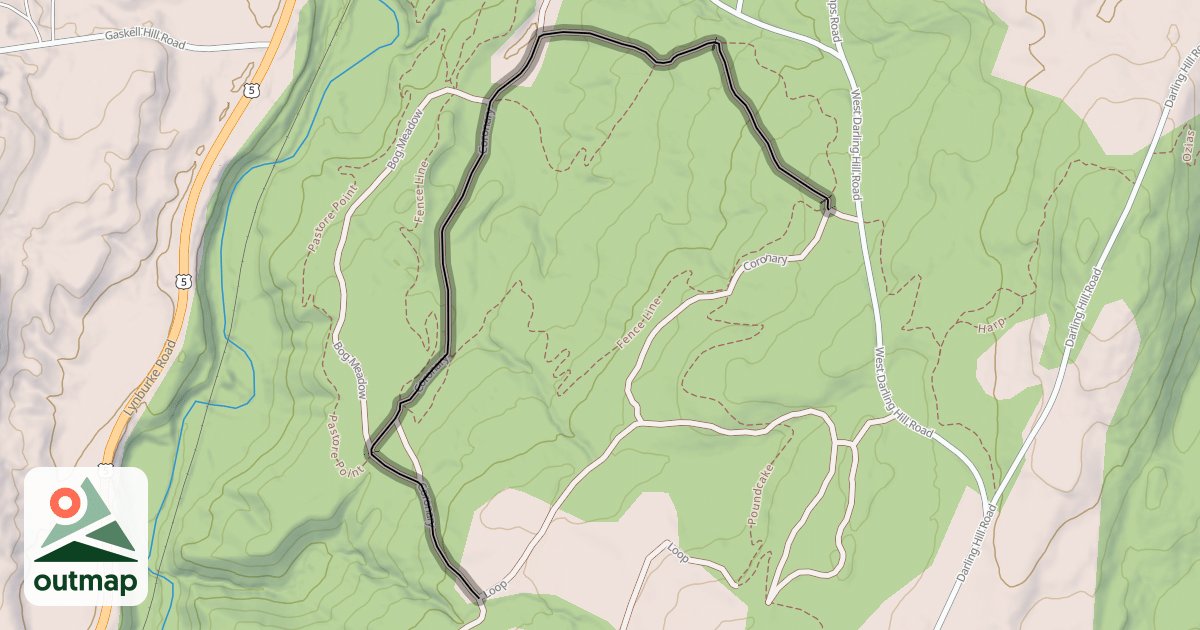 Map of Coronary