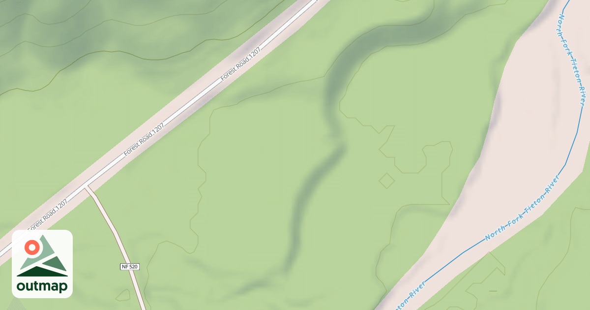 Map of USFS National Forest System Roads {5EBC0571-2D6E-4C2A-93AC-4FC2BBDCAEA8}