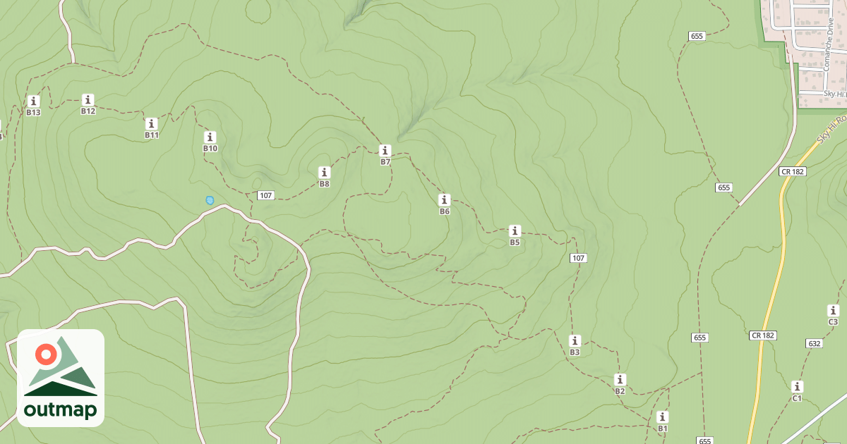 Map of USFS National Forest System Roads {548BBAF5-CD4E-4063-9070-AFF2E6FBC9BD}