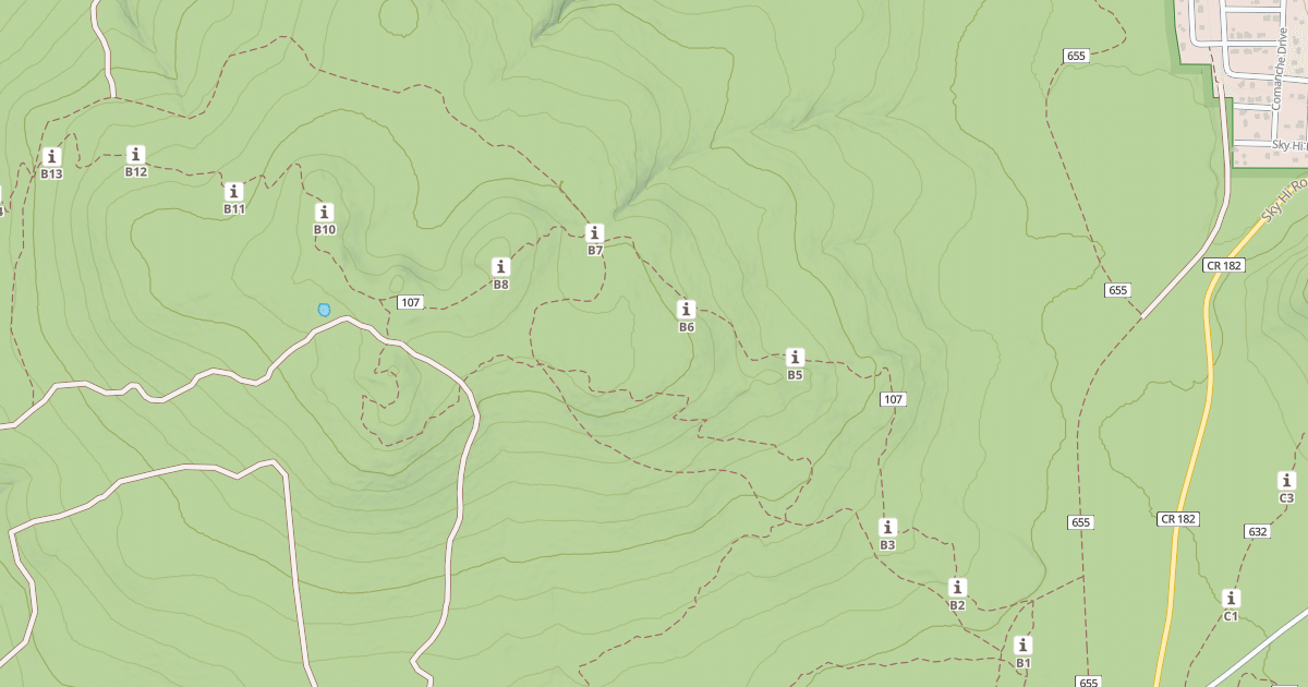Map preview of USFS National Forest System Roads {548BBAF5-CD4E-4063-9070-AFF2E6FBC9BD}