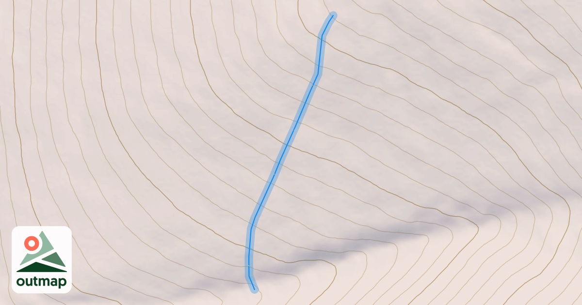 Map of Lost Bear