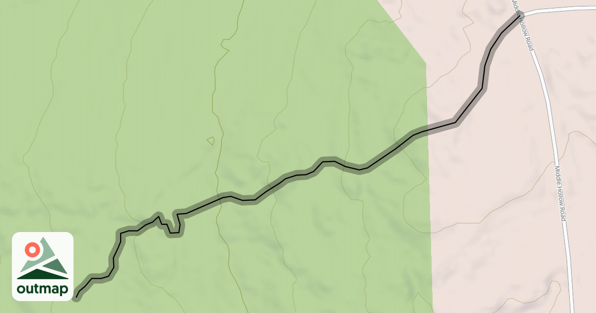 Map of Link