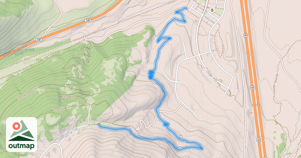 Map of Lynx #2