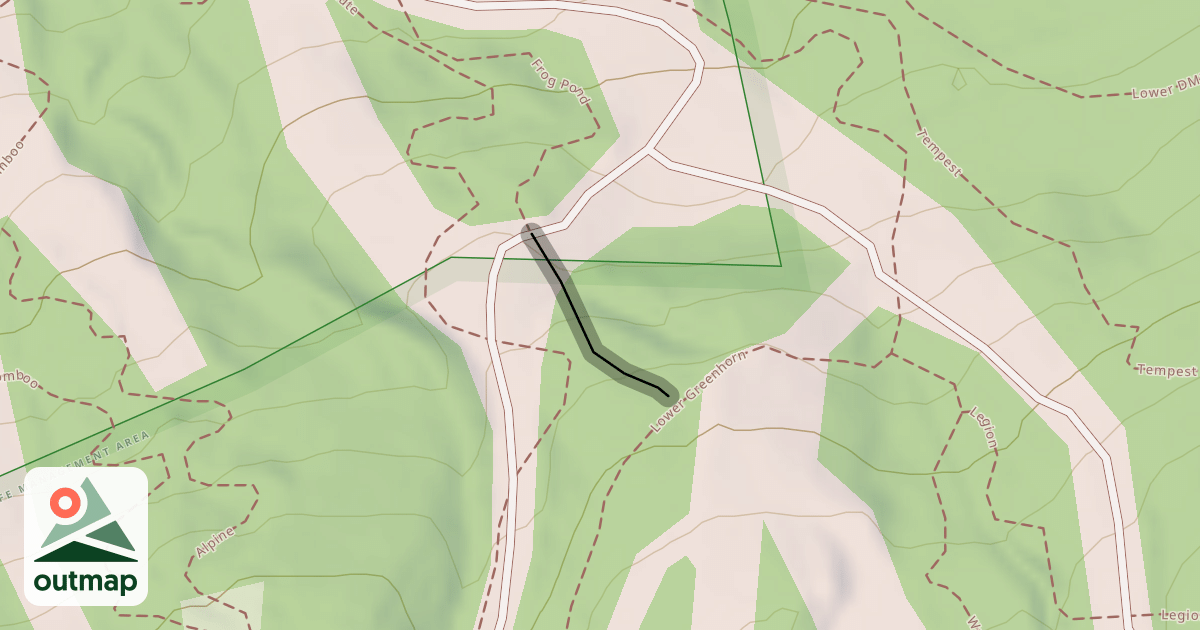 Map of Lower Asylum