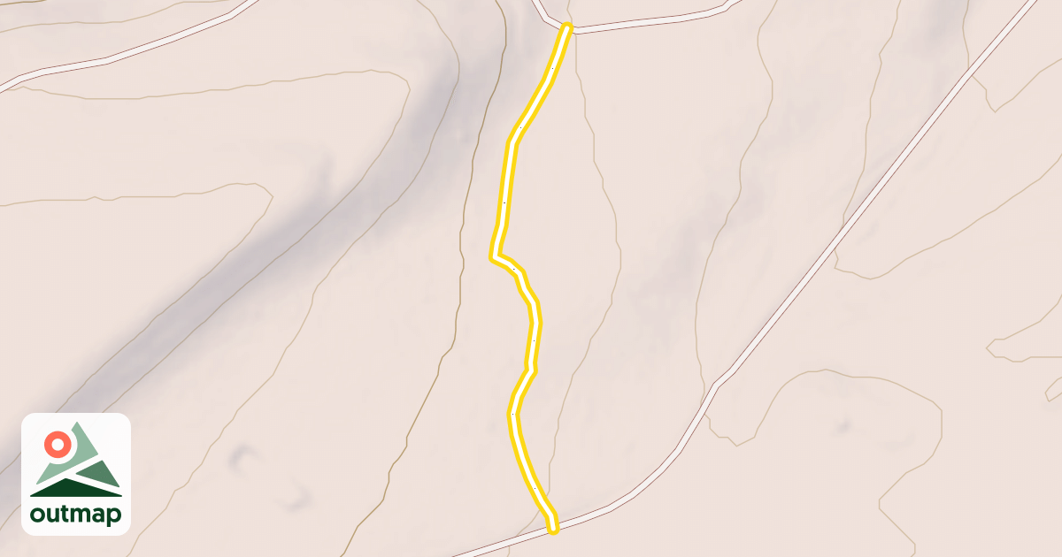 Map of Upper Tree Loop