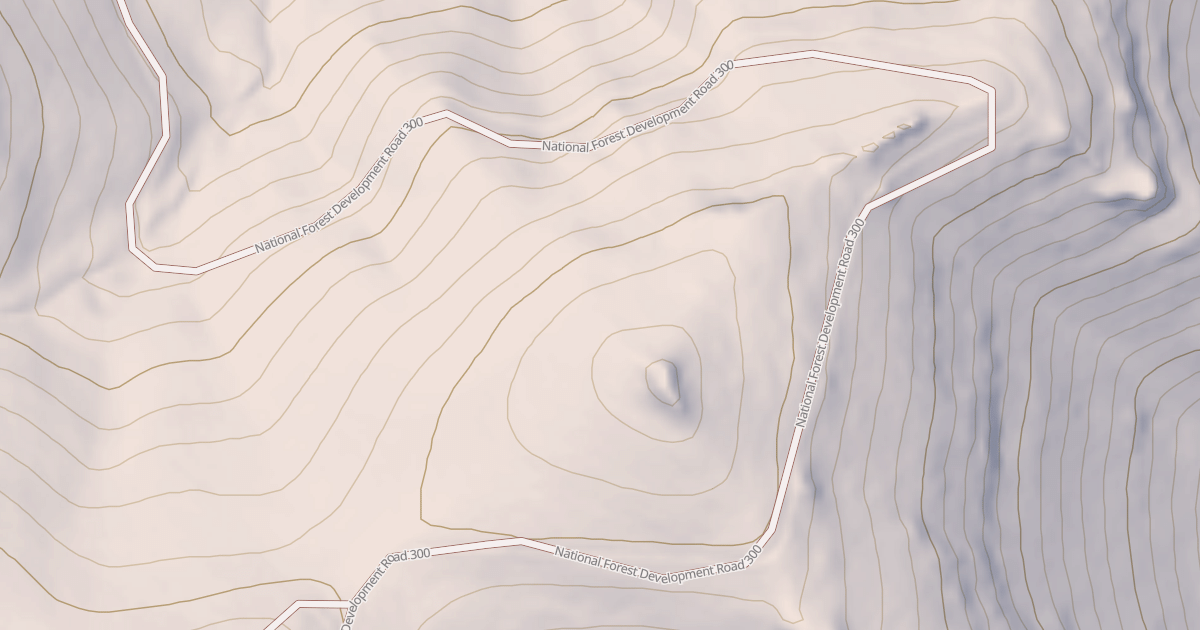 Map preview of USFS National Forest System Roads {CD151FDD-C4E7-49B8-AC6F-FA8EF91CED39}