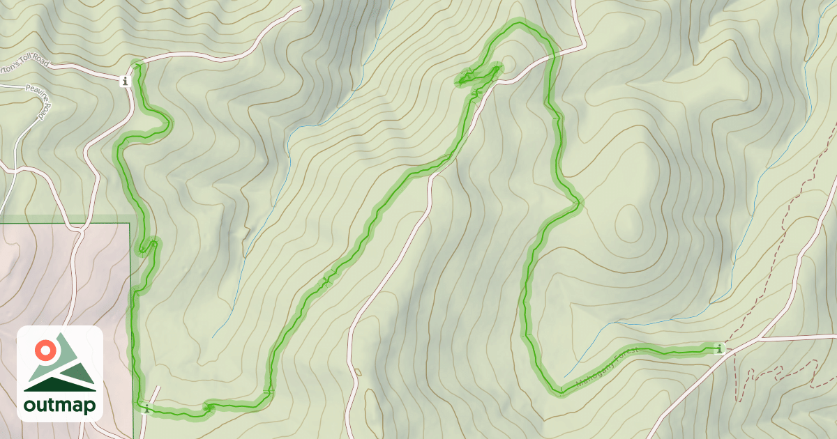 Map of Mahogany Forest